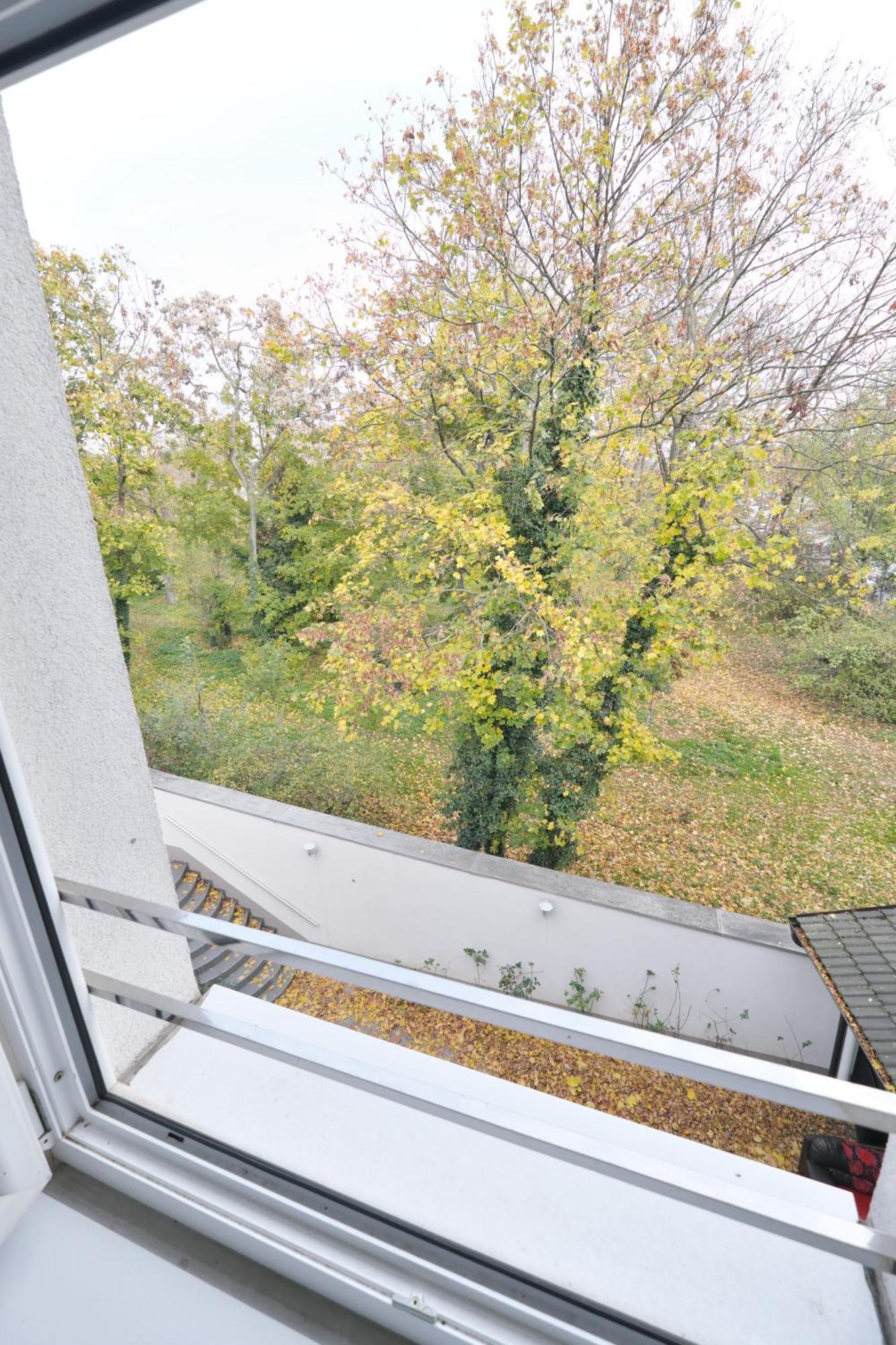 Apartmán Schoenbrunn *